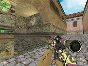 counter-strike 1.6 Evolution